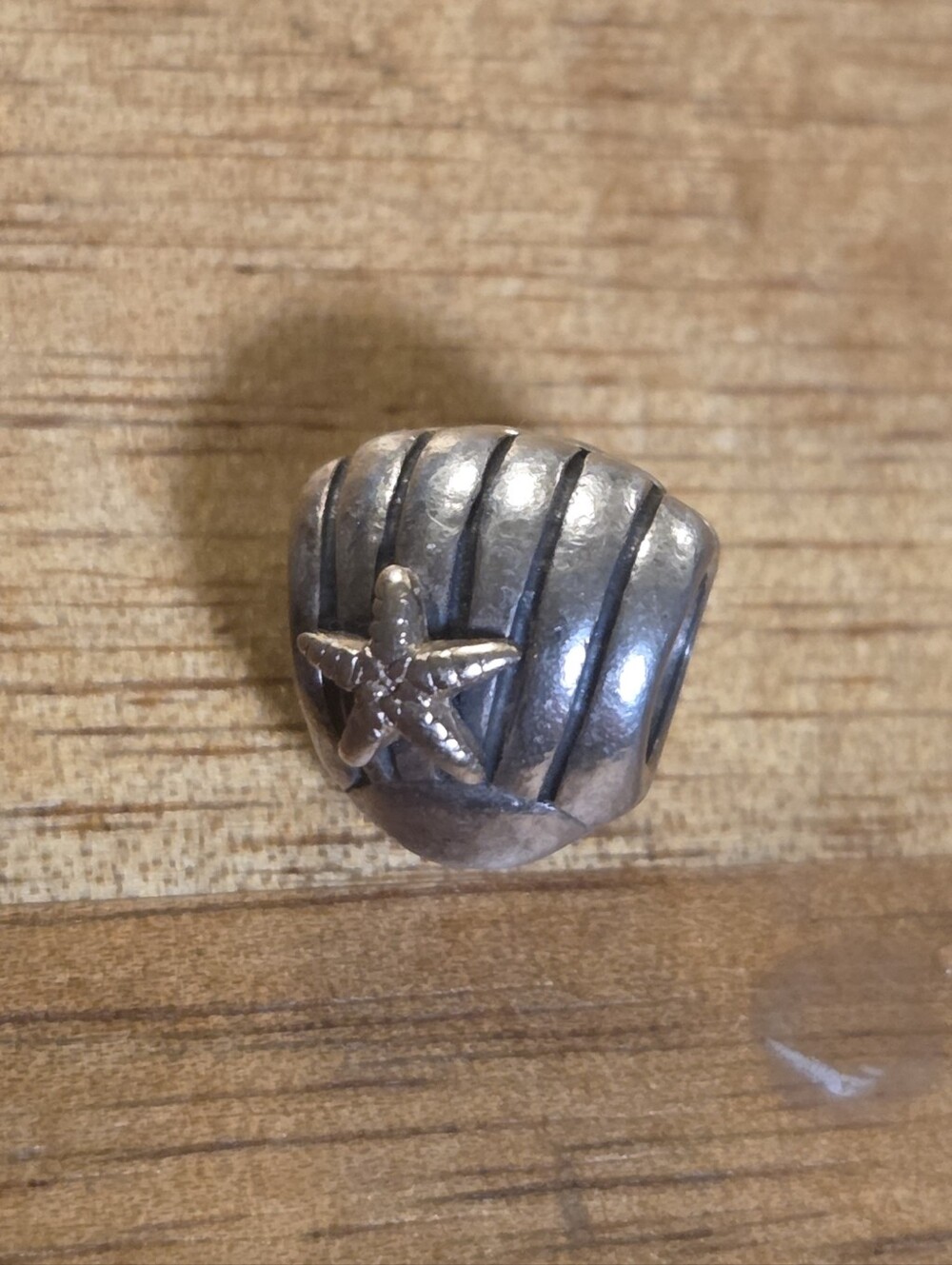Pandora Seashell and Starfish Charm
